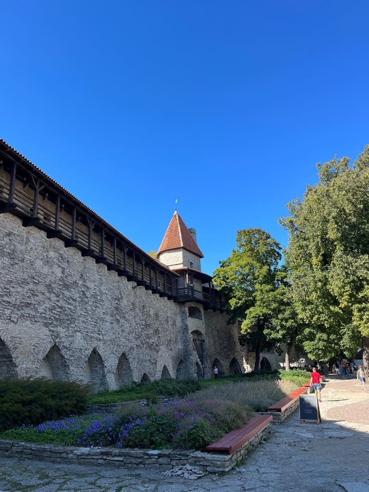 Giardino del Re di Danimarca accanto alle mura medievali di Tallinn