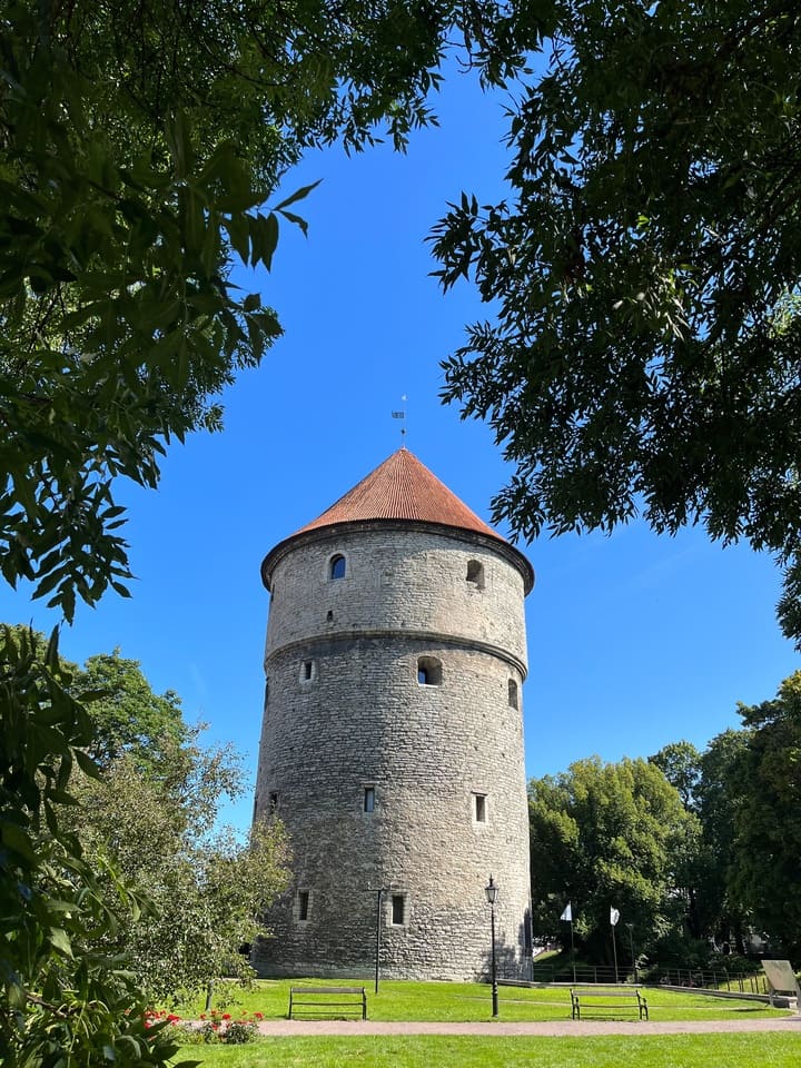 Torre medievale di Tallinn immersa nel verde